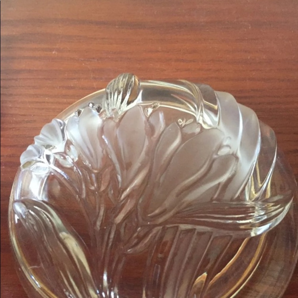 Dish - Picture 3 of 4